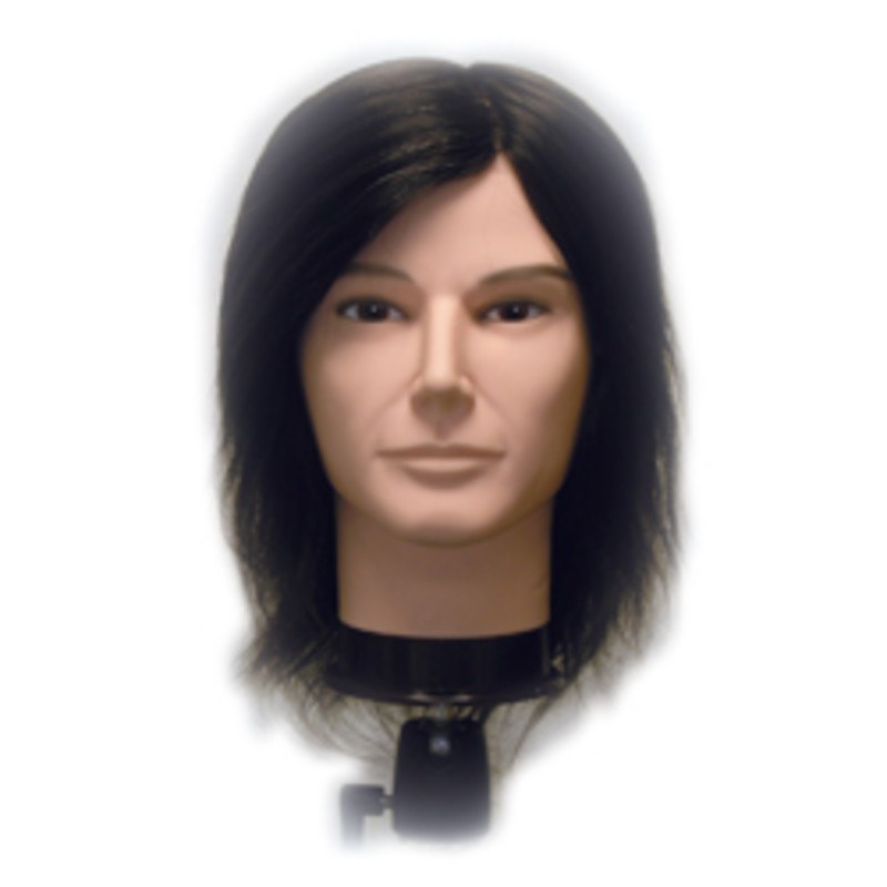 CELEBRITY HAIR MANIKINS MALE-JAKE BUDGETCELEBRITY HAIR MANIKINS