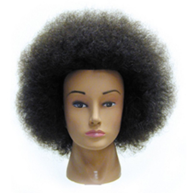 CELEBRITY HAIR MANIKINS NAOMI AFRO MANIKIN 100% HUMAN HAIRCELEBRITY HAIR MANIKINS