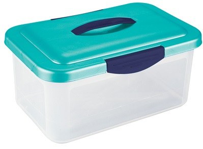 Debra Lynn Clear Storage Container with Lid + HandleDEBRA LYNN