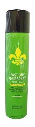 DermOrganic Fast Dry Shaping Spray with Argan OilHair SprayDERMORGANICSize: 10 oz