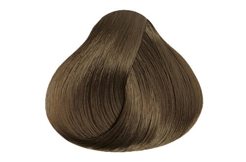 Pravana Chromasilk Hair Color Express TonerHair ColorPRAVANAShade: Dark Neutral Ash